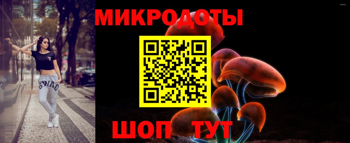 Псилоцибиновые грибы ЛСД Тихвин